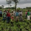 JVE accompagne l’autonomisation et la résilience des groupements de femmes au Togo